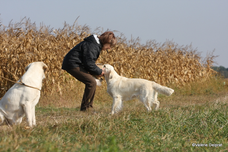 Field Erstein 09 (9).JPG